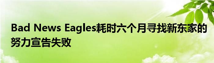 Bad News Eagles耗時(shí)六個(gè)月尋找新東家的努力宣告失敗