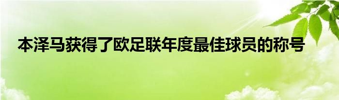 本澤馬獲得了歐足聯(lián)年度最佳球員的稱號(hào)