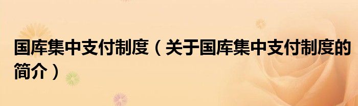 國(guó)庫(kù)集中支付制度（關(guān)于國(guó)庫(kù)集中支付制度的簡(jiǎn)介）