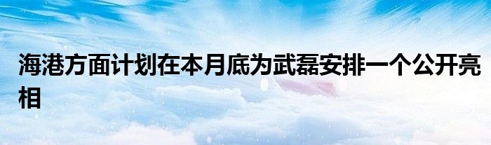 海港方面計劃在本月底為武磊安排一個公開亮相