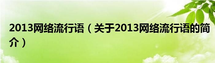 2013網(wǎng)絡(luò)流行語(yǔ)（關(guān)于2013網(wǎng)絡(luò)流行語(yǔ)的簡(jiǎn)介）