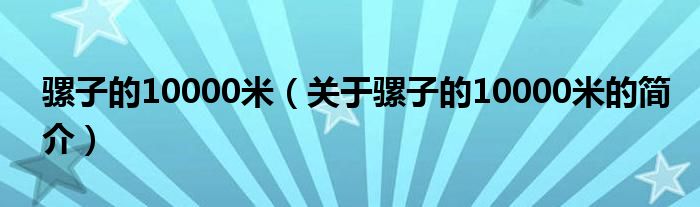 騾子的10000米（關(guān)于騾子的10000米的簡介）