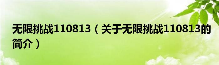 無限挑戰(zhàn)110813（關(guān)于無限挑戰(zhàn)110813的簡(jiǎn)介）