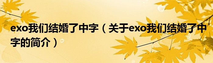 exo我們結(jié)婚了中字（關(guān)于exo我們結(jié)婚了中字的簡(jiǎn)介）