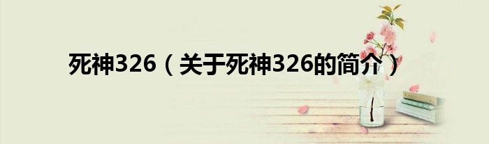 死神326（關(guān)于死神326的簡(jiǎn)介）