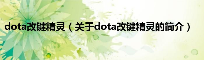 dota改鍵精靈（關(guān)于dota改鍵精靈的簡(jiǎn)介）