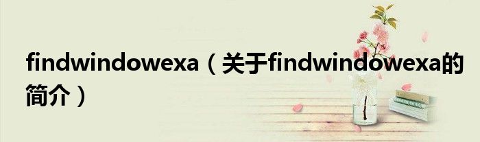 findwindowexa（關(guān)于findwindowexa的簡介）