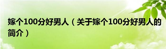 嫁個(gè)100分好男人（關(guān)于嫁個(gè)100分好男人的簡(jiǎn)介）