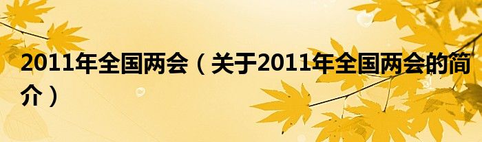 2011年全國兩會（關(guān)于2011年全國兩會的簡介）