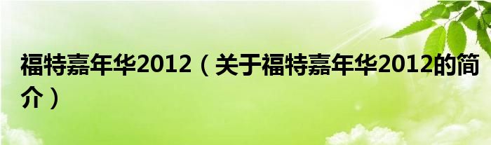 福特嘉年華2012（關(guān)于福特嘉年華2012的簡(jiǎn)介）