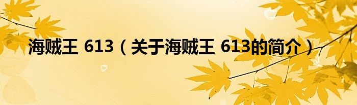 海賊王 613（關(guān)于海賊王 613的簡介）