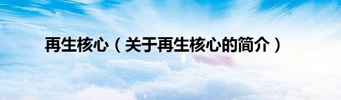 再生核心（關(guān)于再生核心的簡(jiǎn)介）