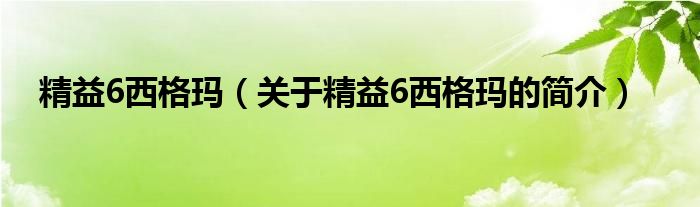 精益6西格瑪（關(guān)于精益6西格瑪?shù)暮?jiǎn)介）