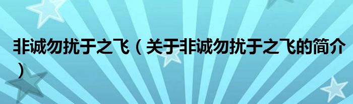 非誠(chéng)勿擾于之飛（關(guān)于非誠(chéng)勿擾于之飛的簡(jiǎn)介）