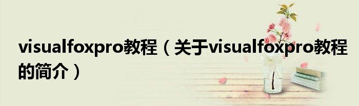 visualfoxpro教程（關(guān)于visualfoxpro教程的簡介）