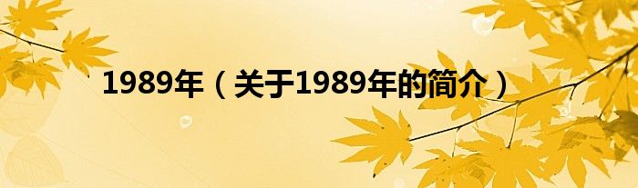 1989年（關于1989年的簡介）