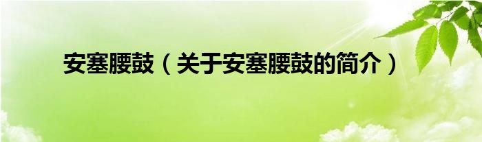 安塞腰鼓（關(guān)于安塞腰鼓的簡(jiǎn)介）