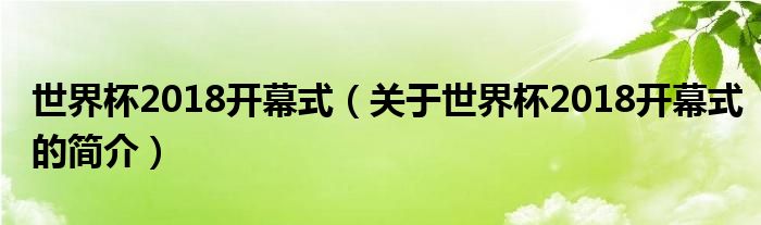 世界杯2018開(kāi)幕式（關(guān)于世界杯2018開(kāi)幕式的簡(jiǎn)介）