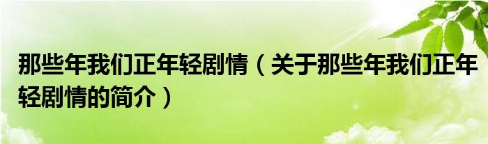 那些年我們正年輕劇情（關(guān)于那些年我們正年輕劇情的簡介）