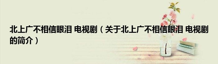 北上廣不相信眼淚 電視劇（關(guān)于北上廣不相信眼淚 電視劇的簡介）