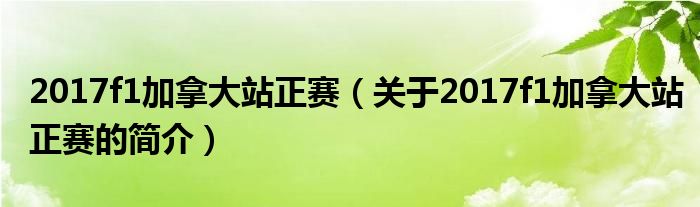 2017f1加拿大站正賽（關于2017f1加拿大站正賽的簡介）