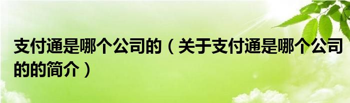 支付通是哪個公司的（關(guān)于支付通是哪個公司的的簡介）