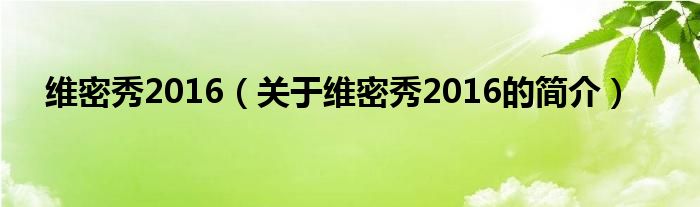 維密秀2016（關于維密秀2016的簡介）