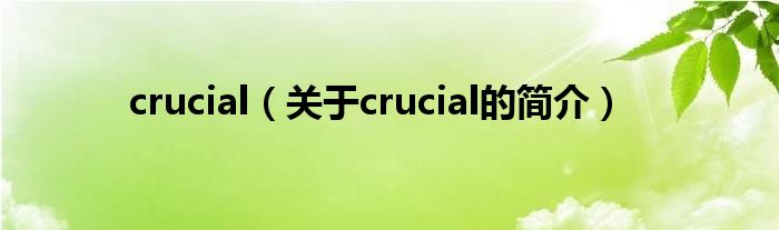 crucial（關(guān)于crucial的簡(jiǎn)介）