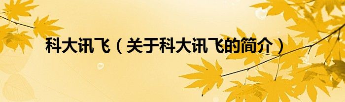 科大訊飛（關(guān)于科大訊飛的簡(jiǎn)介）