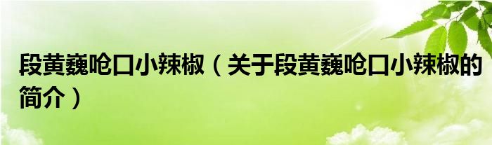 段黃巍嗆口小辣椒（關(guān)于段黃巍嗆口小辣椒的簡(jiǎn)介）