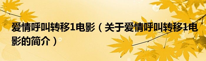 愛情呼叫轉移1電影（關于愛情呼叫轉移1電影的簡介）