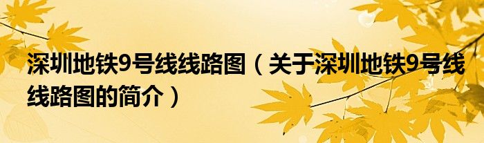 深圳地鐵9號(hào)線(xiàn)線(xiàn)路圖（關(guān)于深圳地鐵9號(hào)線(xiàn)線(xiàn)路圖的簡(jiǎn)介）