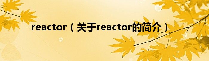 reactor（關于reactor的簡介）