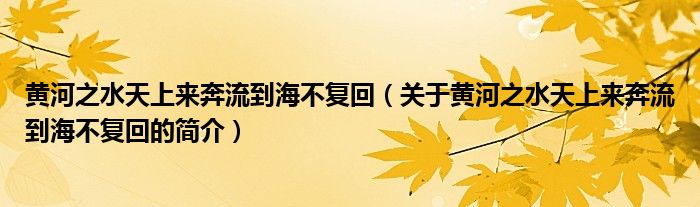 黃河之水天上來奔流到海不復回（關(guān)于黃河之水天上來奔流到海不復回的簡介）