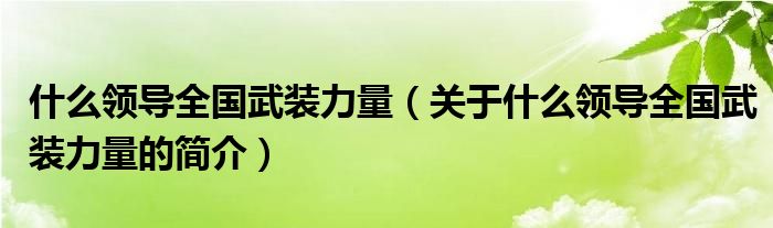 什么領(lǐng)導(dǎo)全國武裝力量（關(guān)于什么領(lǐng)導(dǎo)全國武裝力量的簡介）