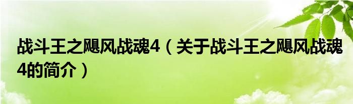 戰(zhàn)斗王之颶風(fēng)戰(zhàn)魂4（關(guān)于戰(zhàn)斗王之颶風(fēng)戰(zhàn)魂4的簡(jiǎn)介）