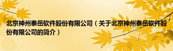 北京神州泰岳軟件股份有限公司（關于北京神州泰岳軟件股份有限公司的簡介）