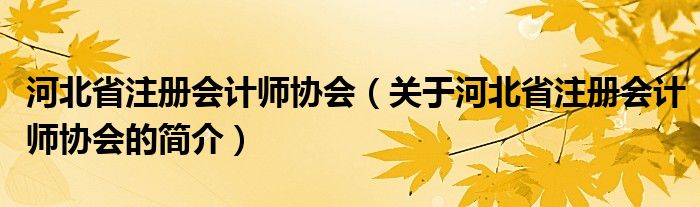 河北省注冊會計師協(xié)會（關于河北省注冊會計師協(xié)會的簡介）