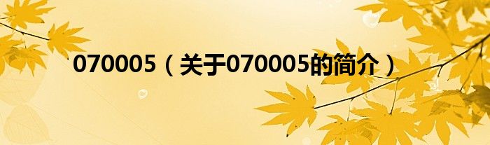 070005（關(guān)于070005的簡介）