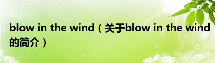 blow in the wind（關于blow in the wind的簡介）