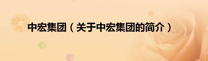 中宏集團(tuán)（關(guān)于中宏集團(tuán)的簡(jiǎn)介）