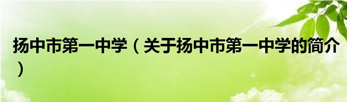 揚中市第一中學(xué)（關(guān)于揚中市第一中學(xué)的簡介）