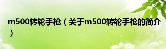 m500轉(zhuǎn)輪手槍（關(guān)于m500轉(zhuǎn)輪手槍的簡介）