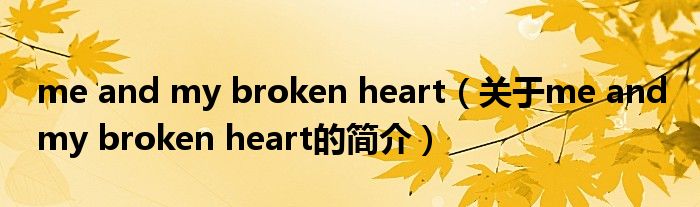 me and my broken heart（關(guān)于me and my broken heart的簡介）