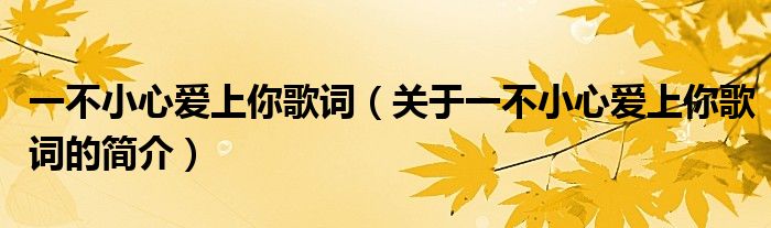 一不小心愛上你歌詞（關(guān)于一不小心愛上你歌詞的簡介）