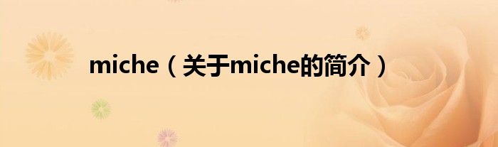 miche（關(guān)于miche的簡(jiǎn)介）