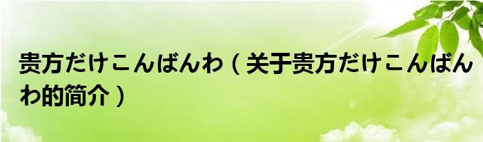 貴方だけこんばんわ（關(guān)于貴方だけこんばんわ的簡介）