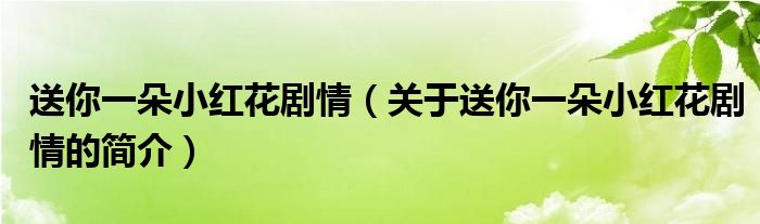 送你一朵小紅花劇情（關(guān)于送你一朵小紅花劇情的簡介）