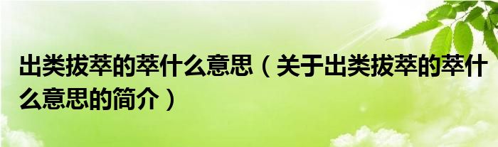 出類拔萃的萃什么意思（關于出類拔萃的萃什么意思的簡介）