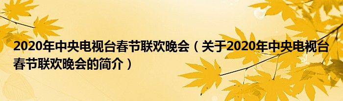 2020年中央電視臺(tái)春節(jié)聯(lián)歡晚會(huì)（關(guān)于2020年中央電視臺(tái)春節(jié)聯(lián)歡晚會(huì)的簡(jiǎn)介）